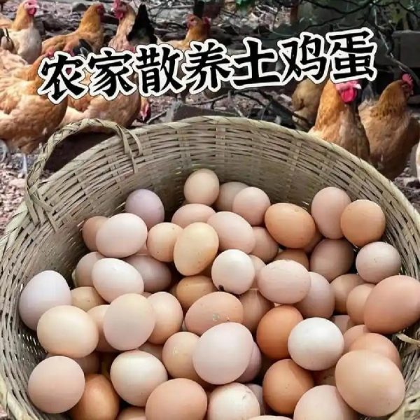 养鸡场直供现捡土鸡蛋包邮（偏远地区不发货）